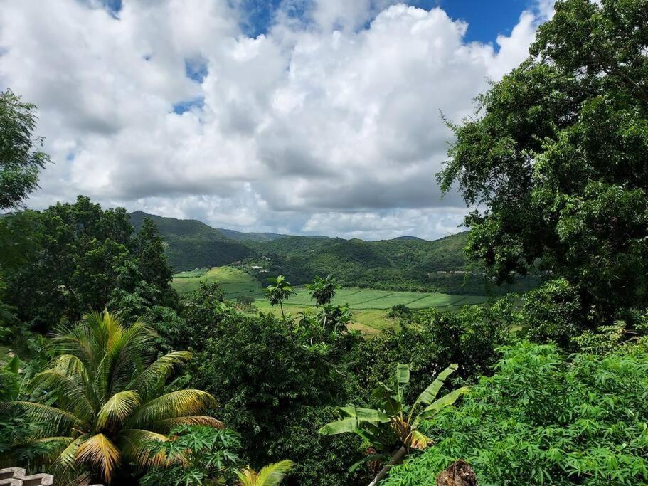 Appartement T2 Le Vallon Au Marin Martinique Le Marin Екстер'єр фото